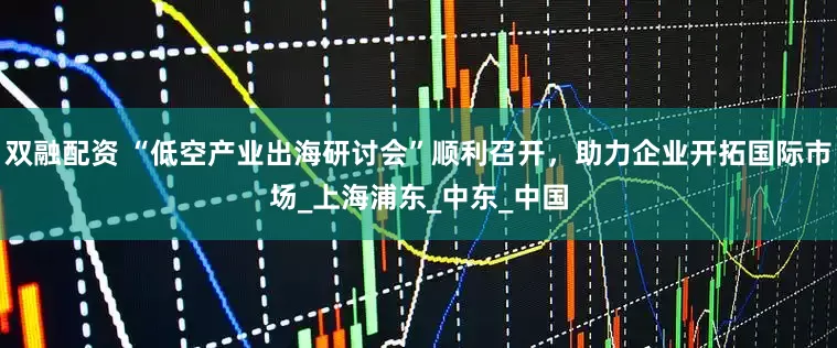 双融配资 “低空产业出海研讨会”顺利召开，助力企业开拓国际市场_上海浦东_中东_中国