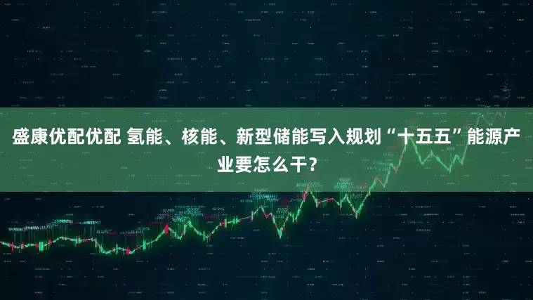 盛康优配优配 氢能、核能、新型储能写入规划“十五五”能源产业要怎么干？