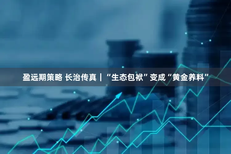 盈远期策略 长治传真｜“生态包袱”变成“黄金养料”